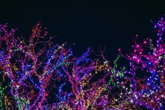 top-7-benefits-of-professional-holiday-light-installation-services