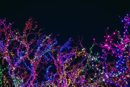 top-7-benefits-of-professional-holiday-light-installation-services